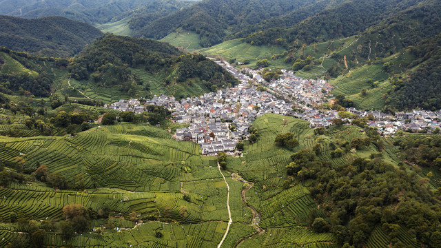 梅家坞龙井茶园