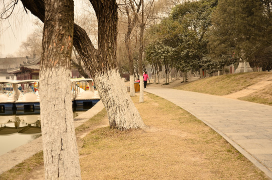 西安兴庆公园冬景