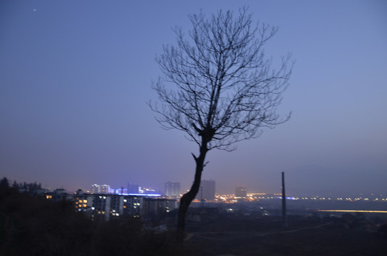 陈仓夜景