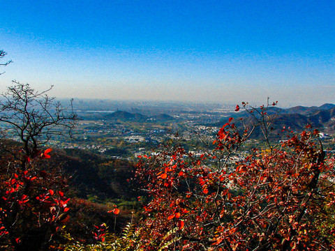 北京香山