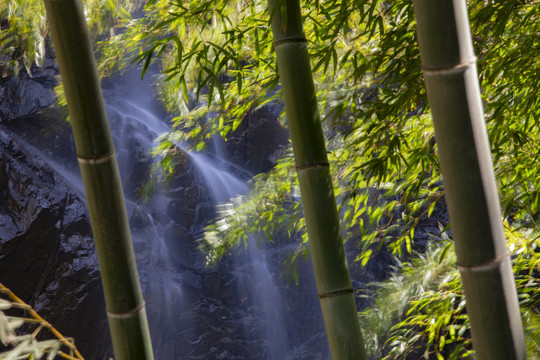 春天竹林瀑布晨曦唯美空镜