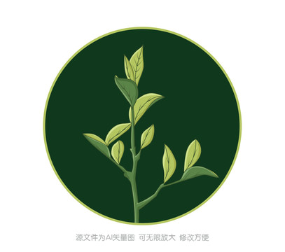 手會(huì)茶葉