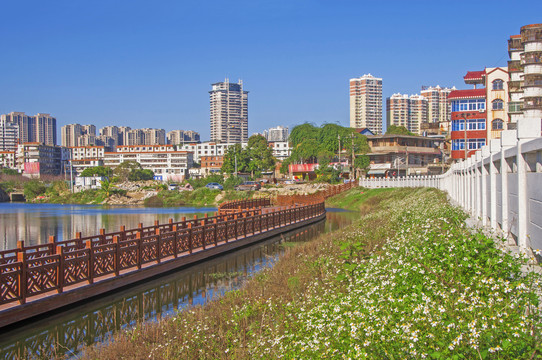 柳湖岸边栈道花草风景