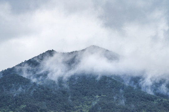 绿水青山