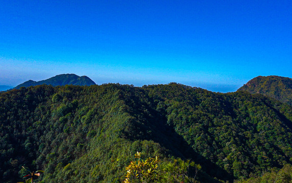 浙江宁波双峰国家森林公园