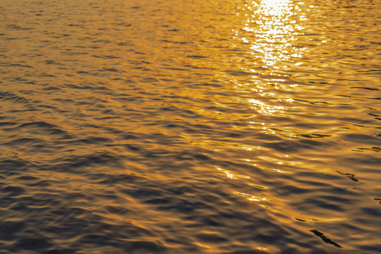 夕阳下的水面湖水金色波纹