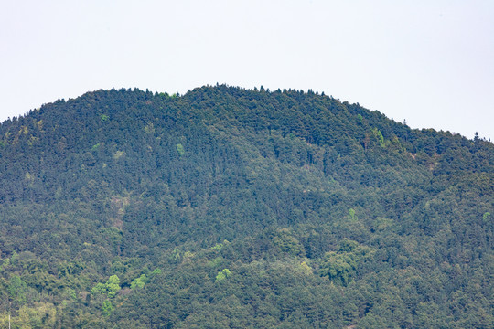 高山山峰