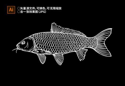 魚肉包裝黑白線稿插畫