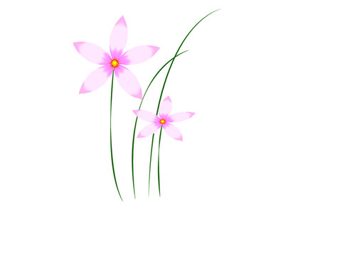 蘭花