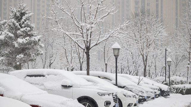 社区雪景