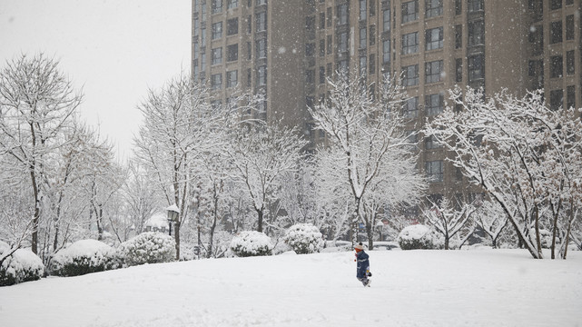 雪中的小孩