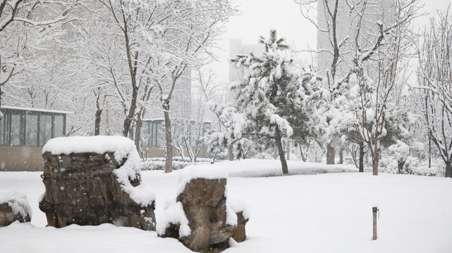 园林景观雪景