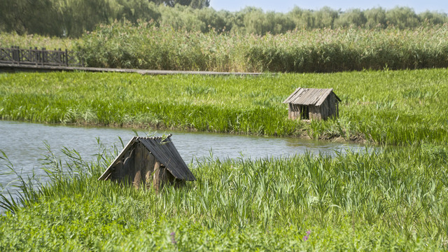 湿地公园的两个小木屋