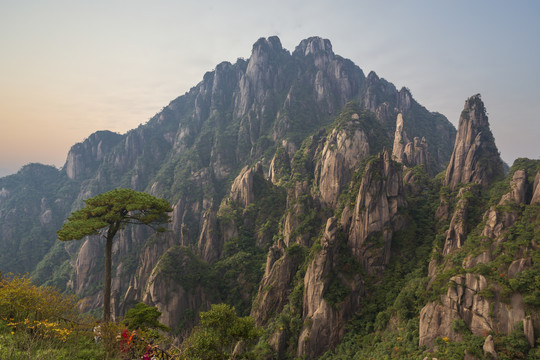 奇峰劲松三清山9