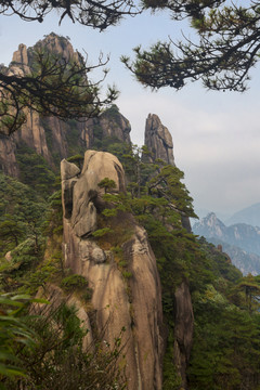 奇峰劲松三清山11