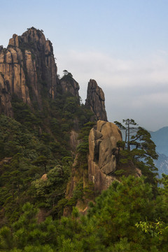 奇峰劲松三清山12