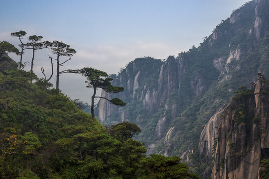 奇峰劲松三清山19