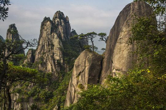 奇峰劲松三清山23