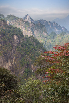 奇峰劲松三清山37