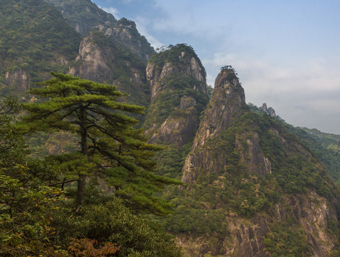 奇峰劲松三清山38