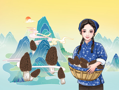羊肚菌插畫