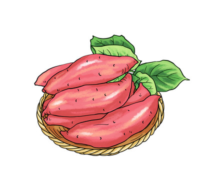 紅薯地瓜插畫