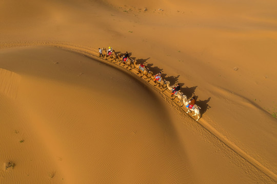 鸟瞰沙漠驼队图片
