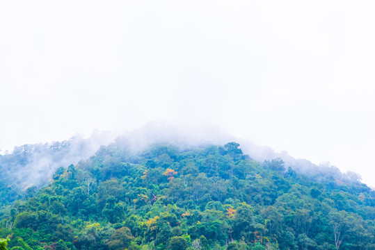 云雾高山