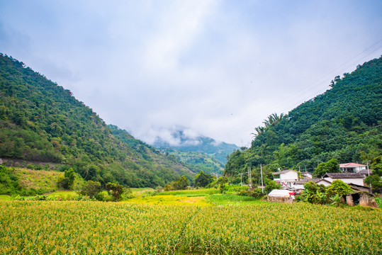 山里人家