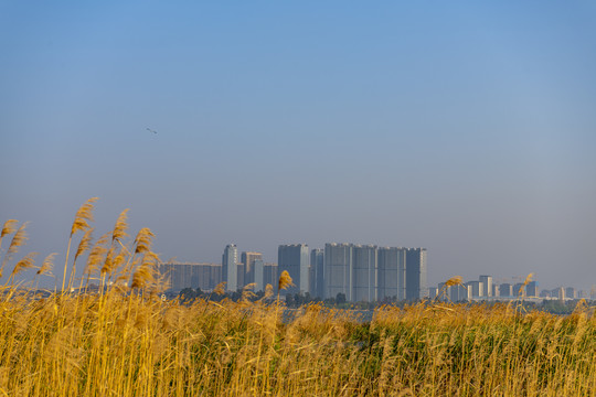 城市与湖泊