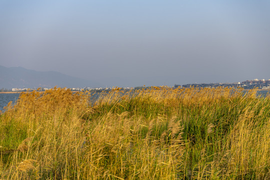 城市与湖泊