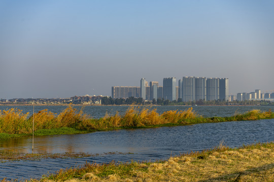 城市与湖泊