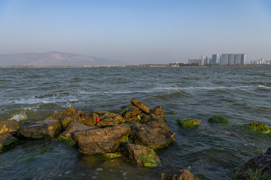 城市与湖泊