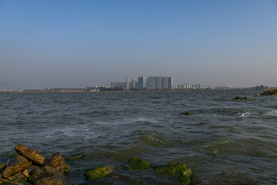 城市与湖泊