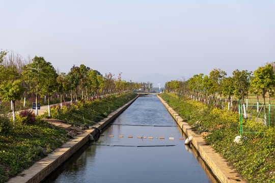 湿地