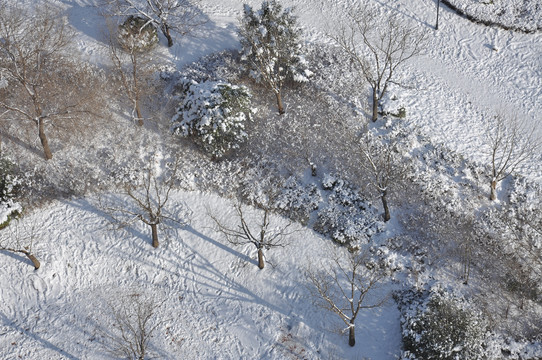 俯拍雪后园林