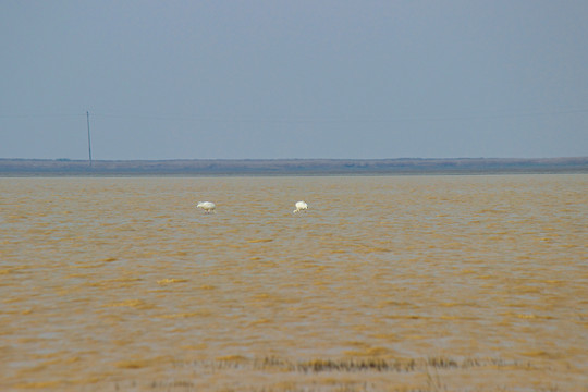 鄱阳湖