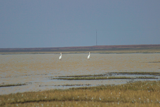 鄱阳湖