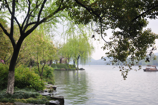 西湖春天美景