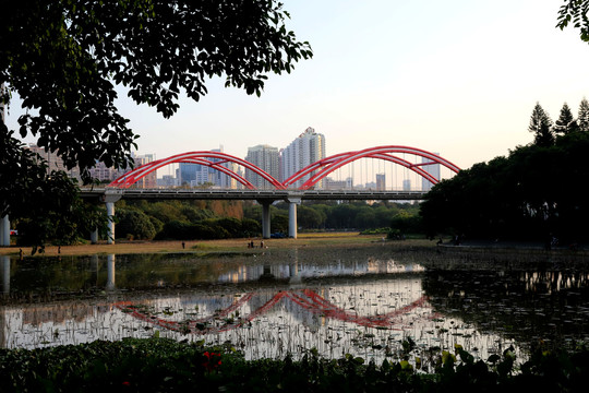 洪湖公园彩虹桥
