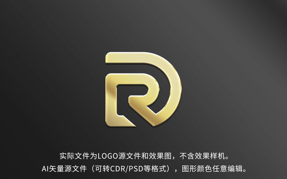 DR字母LOGO标志设计