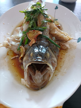 清蒸鱸魚