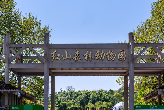 中国南京红山森林动物园