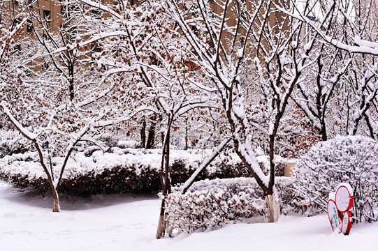 春雪