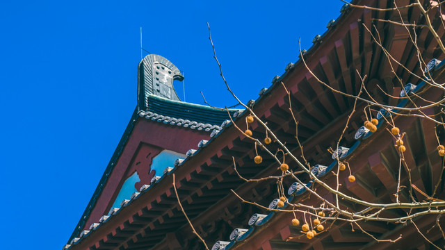 寺庙—横山寺