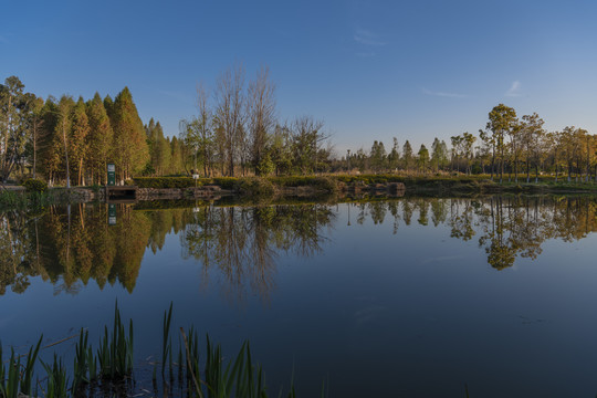 滇池湿地
