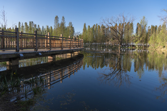 滇池湿地