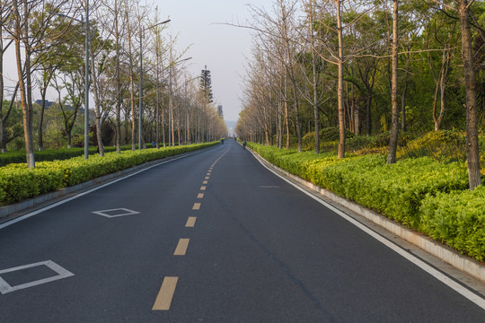 滇池湿地