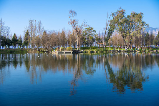 滇池湿地