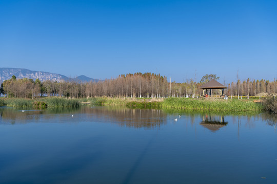 滇池湿地